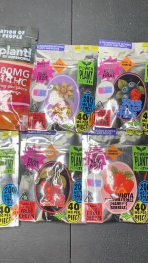 Whatsapp image 2025 12 02 at 14.16.43