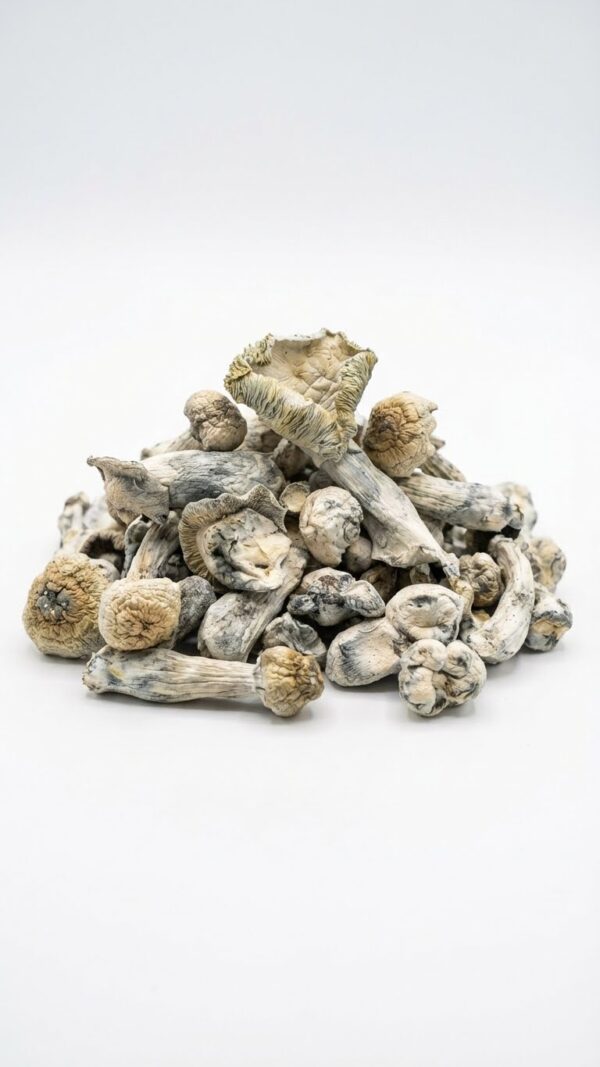 Primary product image